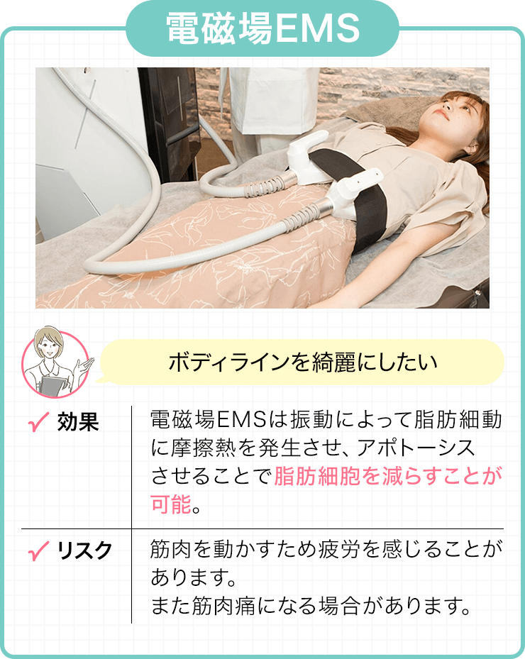 電磁場EMS